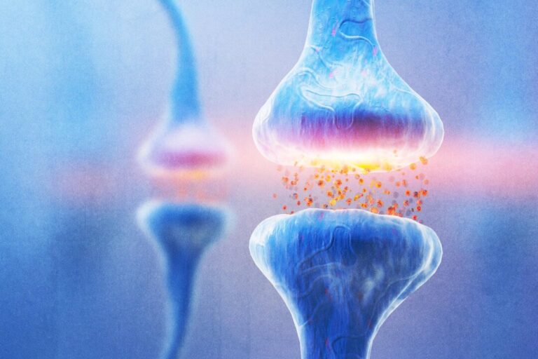 How Brain Chemicals Influence Appetite and Blood Sugar Regulation