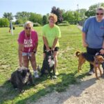 Jake & Cooper’s Bark Park: A Haven for Dogs and Their Owners