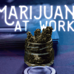Navigating Marijuana Legalization: Challenges and Opportunities in the Workplace