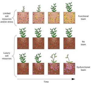 Plants Curate Microbiomes for Survival in Harsh Environments