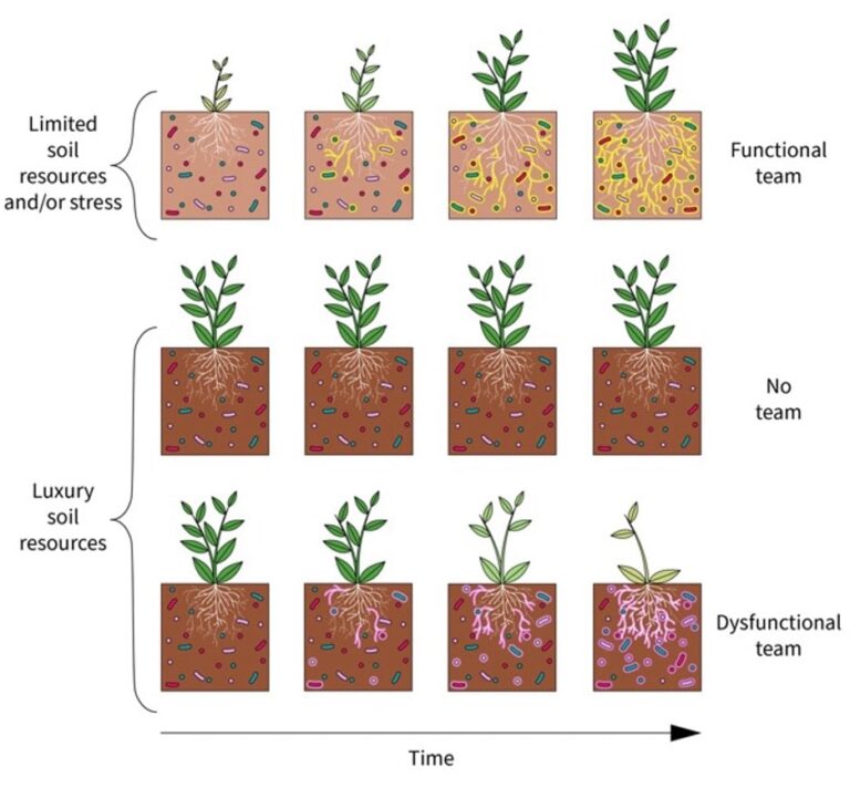 Plants Curate Microbiomes for Survival in Harsh Environments